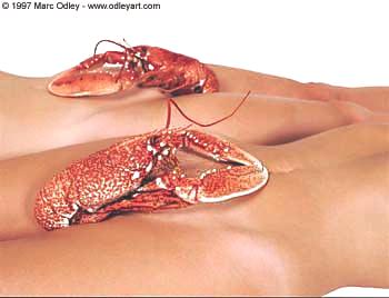 A Lobster Pic